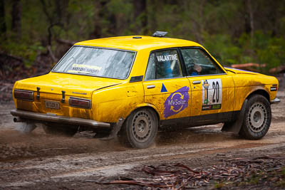 20;1971-Datsun-1600;20;30-November-2019;Alpine-Rally;Australia;C2;Datsun;Gippsland;Michael-Valantine;Rally;Timothy-Valantine;VIC;auto;classic;historic;motorsport;racing;special-stage;super-telephoto;vintage