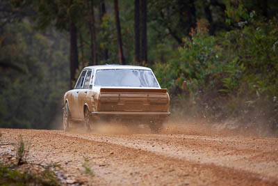 3;3;30-November-2019;Alpine-Rally;Australia;Brendan-Reeves;CRC;Datsun;Datsun-1600;Gippsland;Rally;Rhianon-Gelsomino;VIC;auto;classic;historic;motorsport;racing;special-stage;super-telephoto;vintage