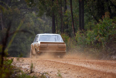 3;3;30-November-2019;Alpine-Rally;Australia;Brendan-Reeves;CRC;Datsun;Datsun-1600;Gippsland;Rally;Rhianon-Gelsomino;VIC;auto;classic;historic;motorsport;racing;special-stage;super-telephoto;vintage