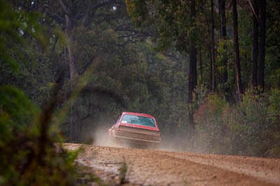 44;1979-Ford-RS1800-Escort;30-November-2019;44;Alpine-Rally;Australia;C1;Damian-Reed;Ford;Gippsland;Rally;VIC;Wayne-Mason;auto;classic;historic;motorsport;racing;special-stage;super-telephoto;vintage