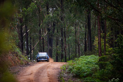 5;1975-Ford-Escort;30-November-2019;5;Adam-Wright;Alpine-Rally;Australia;C1;Ford;Gippsland;Luke-Sytema;Rally;VIC;auto;classic;historic;motorsport;racing;special-stage;super-telephoto;vintage