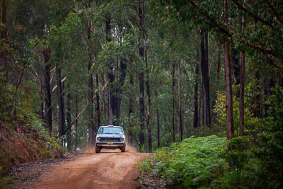 3;3;30-November-2019;Alpine-Rally;Australia;Brendan-Reeves;CRC;Datsun;Datsun-1600;Gippsland;Rally;Rhianon-Gelsomino;VIC;auto;classic;historic;motorsport;racing;special-stage;super-telephoto;vintage