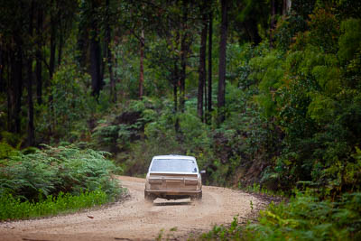 3;3;30-November-2019;Alpine-Rally;Australia;Brendan-Reeves;CRC;Datsun;Datsun-1600;Gippsland;Rally;Rhianon-Gelsomino;VIC;auto;classic;historic;motorsport;racing;special-stage;super-telephoto;vintage