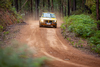 32;1977-Datsun-200B;30-November-2019;32;Alpine-Rally;Australia;Darkie-Barr-Smith;Datsun;Gippsland;Jono-Forrest;P81;Rally;VIC;auto;classic;historic;motorsport;racing;special-stage;super-telephoto;vintage