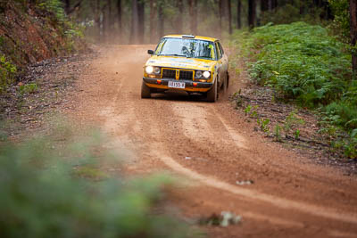 32;1977-Datsun-200B;30-November-2019;32;Alpine-Rally;Australia;Darkie-Barr-Smith;Datsun;Gippsland;Jono-Forrest;P81;Rally;VIC;auto;classic;historic;motorsport;racing;special-stage;super-telephoto;vintage