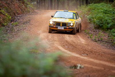 32;1977-Datsun-200B;30-November-2019;32;Alpine-Rally;Australia;Darkie-Barr-Smith;Datsun;Gippsland;Jono-Forrest;P81;Rally;VIC;auto;classic;historic;motorsport;racing;special-stage;super-telephoto;vintage