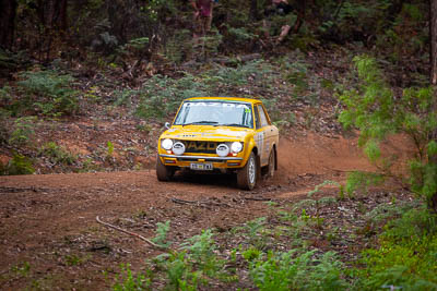 38;1970-Datsun-1600-Dazda;30-November-2019;38;Alpine-Rally;Australia;C3;Datsun;Gippsland;John-Ludlam;Michael-Wood;Rally;VIC;auto;classic;historic;motorsport;racing;special-stage;super-telephoto;vintage