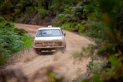 34;1970-Datsun-1600;30-November-2019;34;Alpine-Rally;Australia;Dane-Booker;Datsun;Gippsland;Jeff-Davies;P81;Rally;VIC;auto;classic;historic;motorsport;racing;special-stage;super-telephoto;vintage