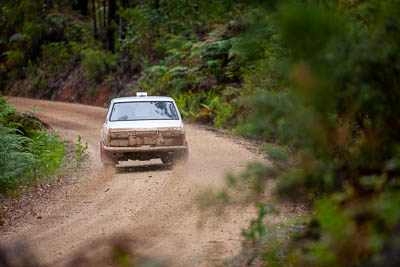 34;1970-Datsun-1600;30-November-2019;34;Alpine-Rally;Australia;Dane-Booker;Datsun;Gippsland;Jeff-Davies;P81;Rally;VIC;auto;classic;historic;motorsport;racing;special-stage;super-telephoto;vintage