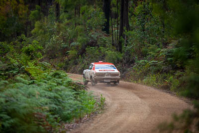 43;1975-Datsun-180B-SSS;30-November-2019;43;Alpine-Rally;Australia;Damien-Hanns;Datsun;Gippsland;P81;Rally;Stephen-Duthie;VIC;auto;classic;historic;motorsport;racing;special-stage;super-telephoto;vintage