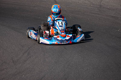 14;14;8-December-2019;Aiva-Anagnostiadis;Australia;KA3-Junior-Qualifying;Melbourne;Port-Melbourne;VIC;auto;go‒kart;kart;karting;motorsport;racing;super-telephoto