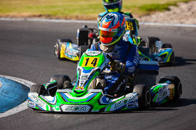 14;14;8-December-2019;Australia;Leigh-Nicolaou;Melbourne;Port-Melbourne;TaG-125;TaG-Qualifying-Driver-A;VIC;auto;go‒kart;kart;karting;motorsport;racing;super-telephoto