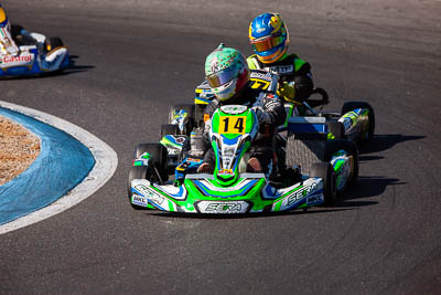 14;14;8-December-2019;Australia;Melbourne;Michael-Caruso;Port-Melbourne;TaG-125;TaG-Qualifying-Driver-B;VIC;auto;go‒kart;kart;karting;motorsport;racing;super-telephoto