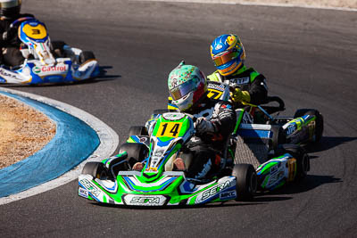 14;14;8-December-2019;Australia;Melbourne;Michael-Caruso;Port-Melbourne;TaG-125;TaG-Qualifying-Driver-B;VIC;auto;go‒kart;kart;karting;motorsport;racing;super-telephoto