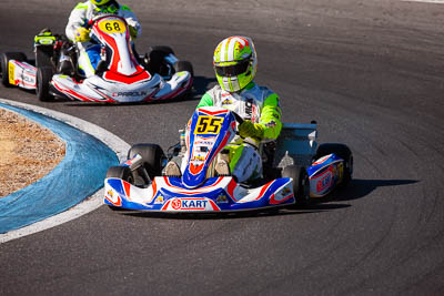 55;55;8-December-2019;Australia;Glen-Riddell;Melbourne;Port-Melbourne;TaG-125-Masters;TaG-Qualifying-Driver-B;VIC;auto;go‒kart;kart;karting;motorsport;racing;super-telephoto