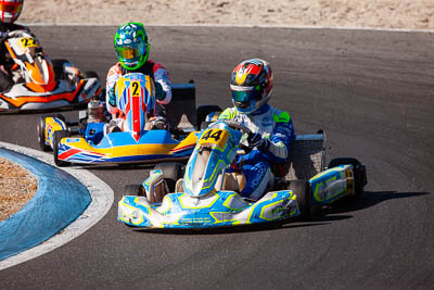 44;44;8-December-2019;Australia;Melbourne;Port-Melbourne;TaG-125;TaG-Qualifying-Driver-B;Tyler-Howard;VIC;auto;go‒kart;kart;karting;motorsport;racing;super-telephoto