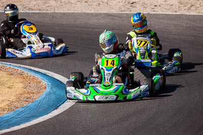 14;14;8-December-2019;Australia;Melbourne;Michael-Caruso;Port-Melbourne;TaG-125;TaG-Qualifying-Driver-B;VIC;auto;go‒kart;kart;karting;motorsport;racing;super-telephoto