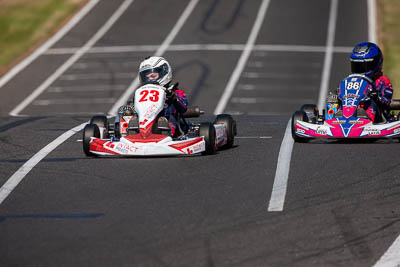 23;23;8-December-2019;Australia;Cadet-9;Cadet-Race;Max-Mangano;Melbourne;Port-Melbourne;VIC;auto;go‒kart;kart;karting;motorsport;racing;super-telephoto