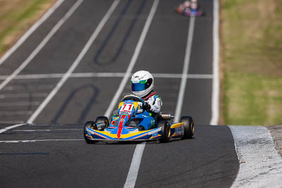71;71;8-December-2019;Australia;Cadet-12;Cadet-Race;Melbourne;Miley-Miller;Port-Melbourne;VIC;auto;go‒kart;kart;karting;motorsport;racing;super-telephoto