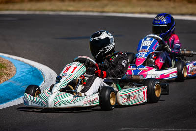 81;8-December-2019;81;Australia;Cadet-12;Cadet-Race;Dylan-Paragreen;Melbourne;Port-Melbourne;VIC;auto;go‒kart;kart;karting;motorsport;racing;super-telephoto