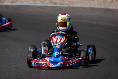 77;77;8-December-2019;Australia;Cadet-12;Cadet-Race;Jackson-Stone;Melbourne;Port-Melbourne;VIC;auto;go‒kart;kart;karting;motorsport;racing;super-telephoto