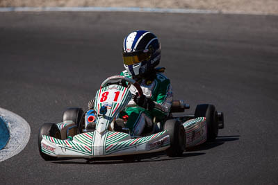 81;8-December-2019;81;Australia;Cadet-12;Cadet-Race;Levi-Dauncey;Melbourne;Port-Melbourne;VIC;auto;go‒kart;kart;karting;motorsport;racing;super-telephoto