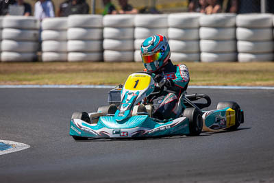 1;1;8-December-2019;Adam-Lindstrom;Australia;Melbourne;Port-Melbourne;TaG-125;TaG-125-Top-10-Shootout;VIC;auto;go‒kart;kart;karting;motorsport;racing;super-telephoto