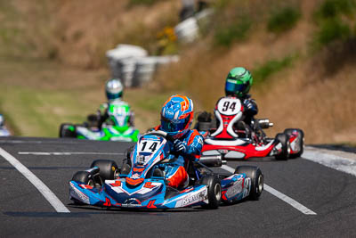 14;14;8-December-2019;Aiva-Anagnostiadis;Australia;KA3-Junior-Endurance-Race;Melbourne;Port-Melbourne;VIC;auto;go‒kart;kart;karting;motorsport;racing;super-telephoto