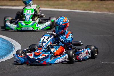 14;14;8-December-2019;Aiva-Anagnostiadis;Australia;KA3-Junior-Endurance-Race;Melbourne;Port-Melbourne;VIC;auto;go‒kart;kart;karting;motorsport;racing;super-telephoto