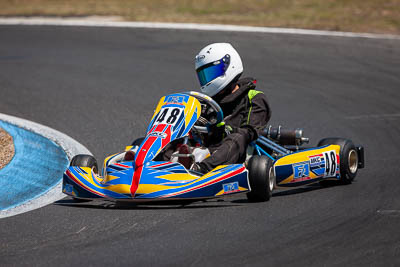 48;48;8-December-2019;Australia;KA3-Junior-Endurance-Race;Melbourne;Port-Melbourne;Robert-Graham;VIC;auto;go‒kart;kart;karting;motorsport;racing;super-telephoto