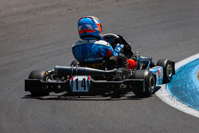 14;14;8-December-2019;Aiva-Anagnostiadis;Australia;KA3-Junior-Endurance-Race;Melbourne;Port-Melbourne;Topshot;VIC;auto;go‒kart;kart;karting;motorsport;racing;super-telephoto