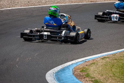 9;8-December-2019;9;Australia;Jake-Santalucia;KA3-Junior-Endurance-Race;Melbourne;Port-Melbourne;VIC;auto;go‒kart;kart;karting;motorsport;racing;super-telephoto