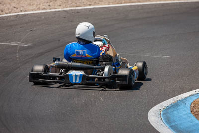 17;17;8-December-2019;Australia;Hugo-Simpson;KA3-Junior-Endurance-Race;Melbourne;Port-Melbourne;VIC;auto;go‒kart;kart;karting;motorsport;racing;super-telephoto