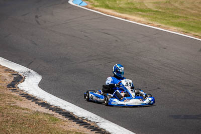 44;44;8-December-2019;Australia;KA3-Junior-Endurance-Race;Melbourne;Port-Melbourne;Riley-Jabke;VIC;auto;go‒kart;kart;karting;motorsport;racing;super-telephoto