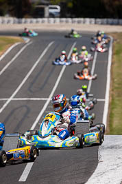 44;44;8-December-2019;Australia;Benito-Monatabano;Melbourne;Port-Melbourne;TaG-125;TaG-Endurance-Race;VIC;auto;go‒kart;kart;karting;motorsport;racing;super-telephoto