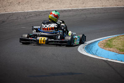 14;14;8-December-2019;Australia;Melbourne;Michael-Caruso;Port-Melbourne;TaG-125;TaG-Endurance-Race;VIC;auto;go‒kart;kart;karting;motorsport;racing;super-telephoto