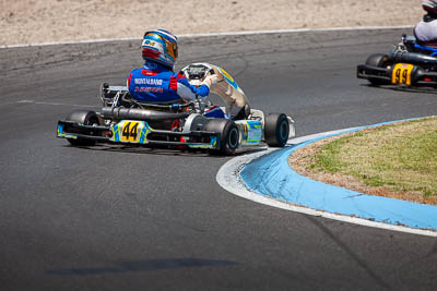 44;44;8-December-2019;Australia;Benito-Monatabano;Melbourne;Port-Melbourne;TaG-125;TaG-Endurance-Race;VIC;auto;go‒kart;kart;karting;motorsport;racing;super-telephoto