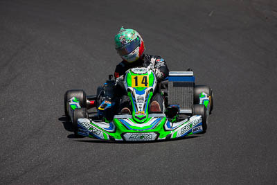 14;14;8-December-2019;Australia;Melbourne;Michael-Caruso;Port-Melbourne;TaG-125;TaG-Endurance-Race;VIC;auto;go‒kart;kart;karting;motorsport;racing;super-telephoto