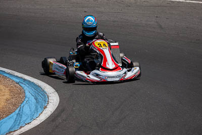 34;34;8-December-2019;Australia;Melbourne;Port-Melbourne;TaG-125;TaG-Endurance-Race;VIC;Will-Carroll;auto;go‒kart;kart;karting;motorsport;racing;super-telephoto