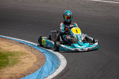 1;1;8-December-2019;Adam-Lindstrom;Australia;Melbourne;Port-Melbourne;TaG-125;TaG-Endurance-Race;VIC;auto;go‒kart;kart;karting;motorsport;racing;super-telephoto