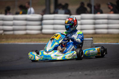 44;44;8-December-2019;Australia;Melbourne;Port-Melbourne;TaG-125;TaG-Endurance-Race;Tyler-Howard;VIC;auto;go‒kart;kart;karting;motorsport;racing;super-telephoto